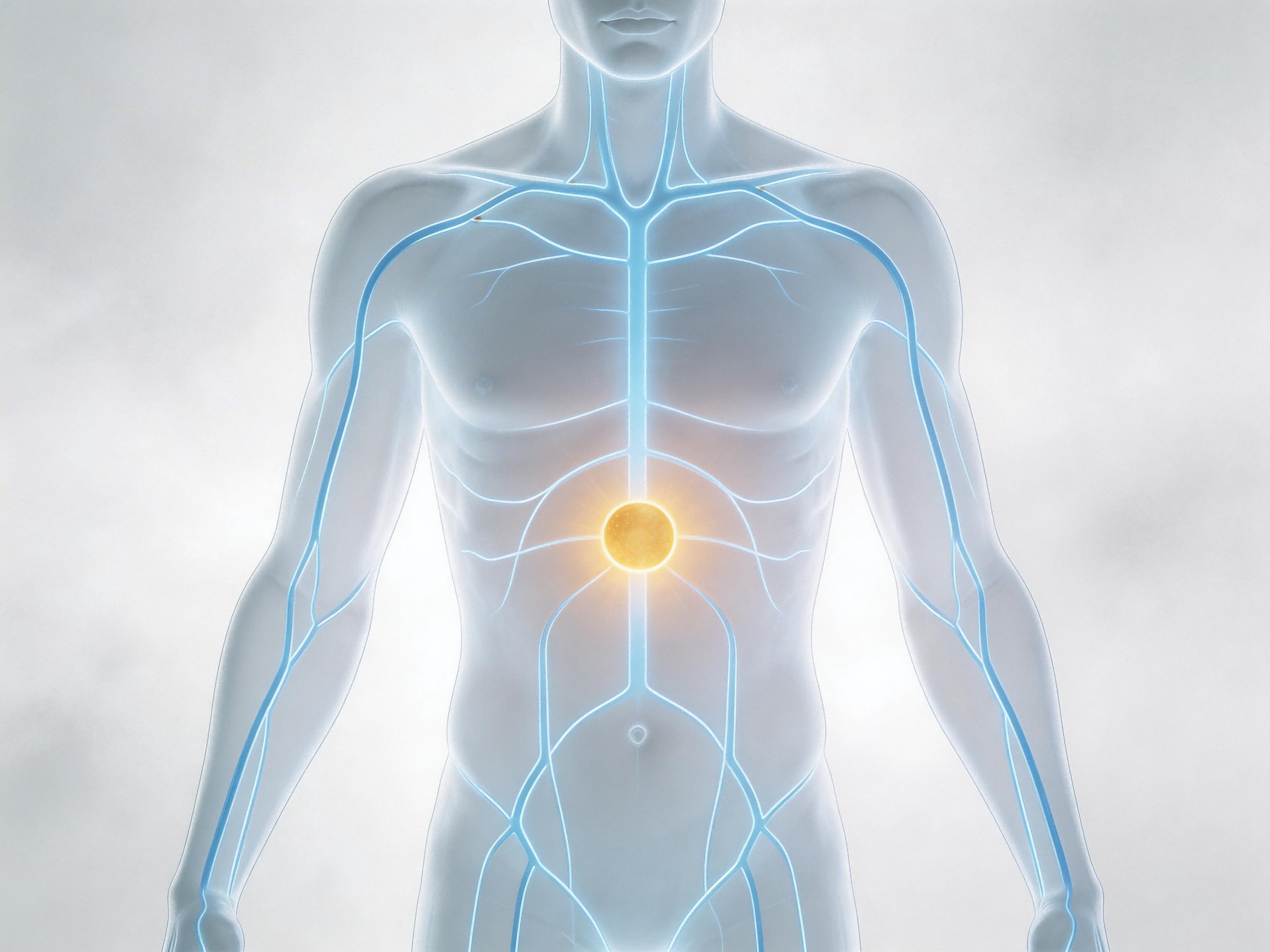 经络不通，百病易生：一份脐疗科普指南，说清脐疗脐灸的功效与作用